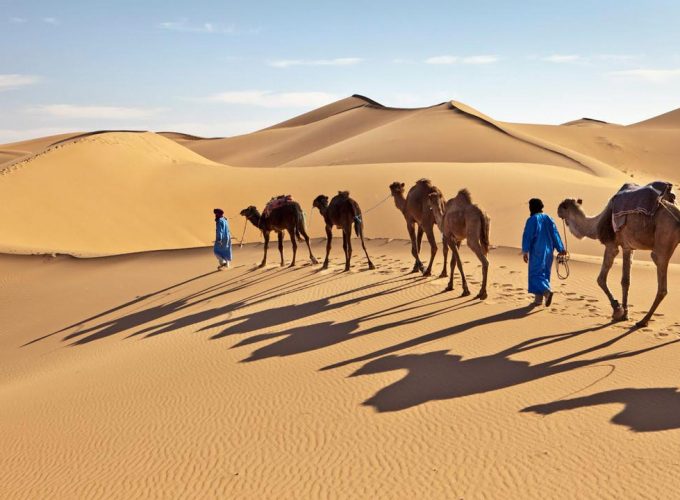 Zagora : Sahara Desert