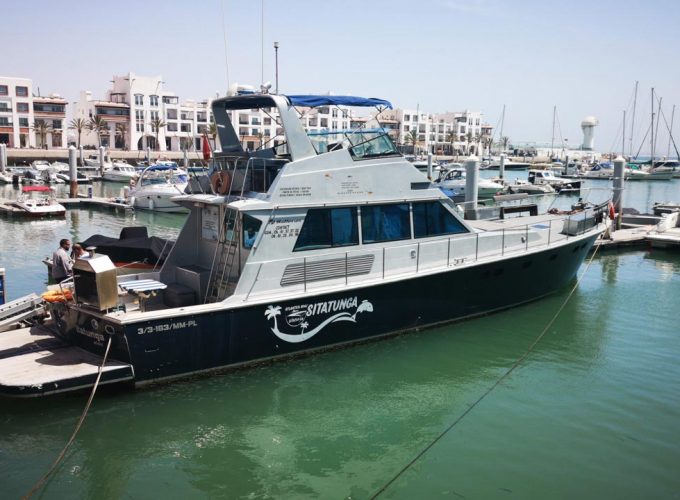 Agadir : Coastal boat tour