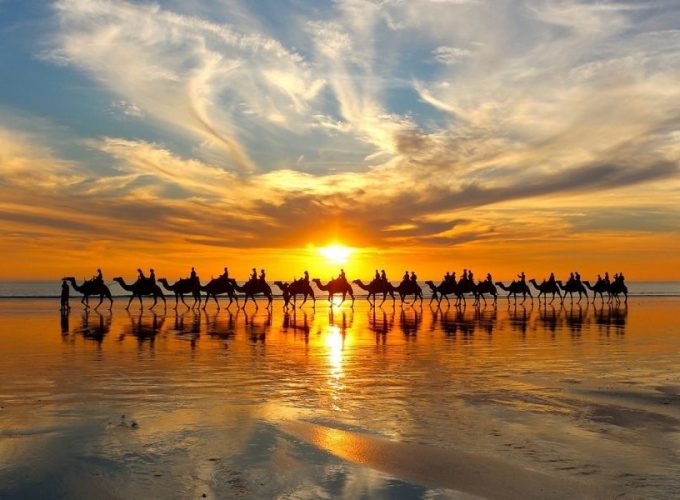 Camel trek / Dromedary trek Agadir