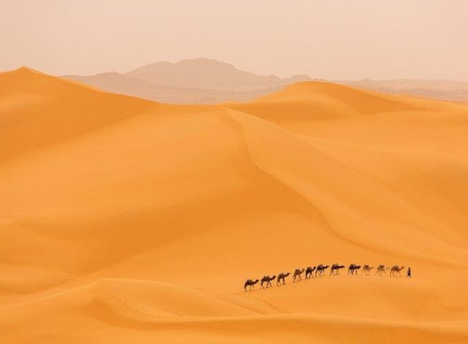 Merzouga : Oasis Tour