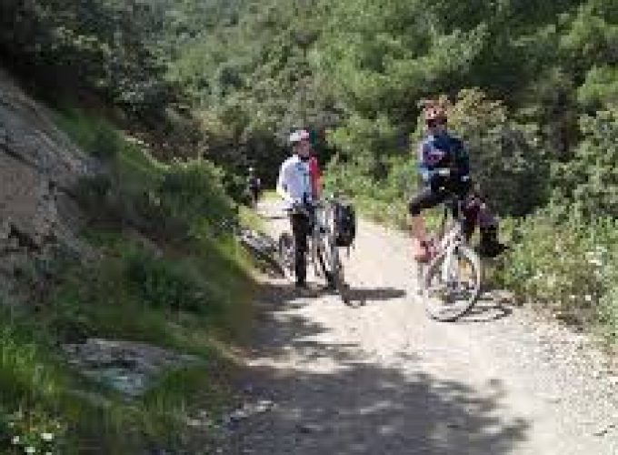 Marrakesh (region) : High Atlas mountain biking