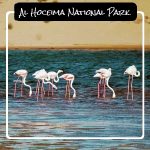 Al Hoceima National Park Al Hoceima National Park