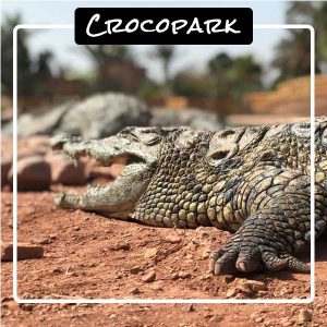 top-5-agadir-crocopark top-5-agadir-crocopark